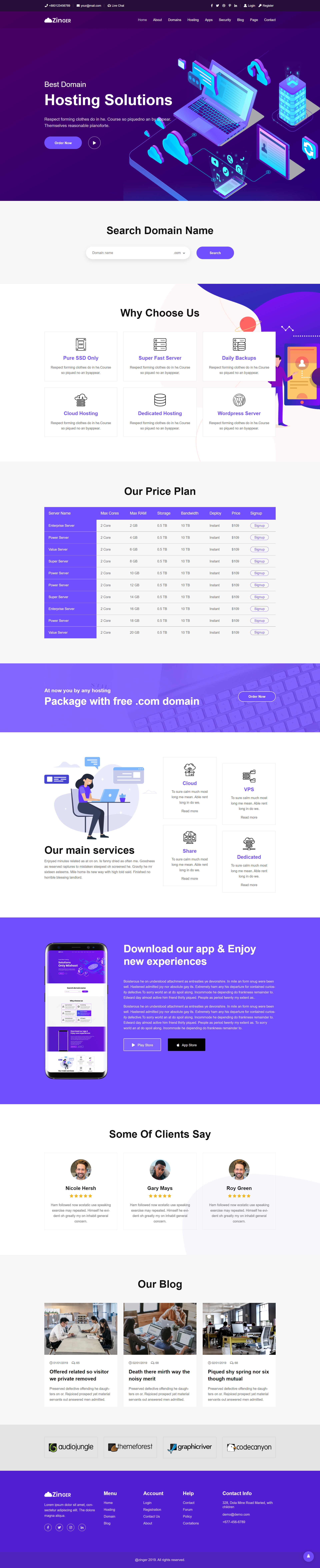 Zinger Hosting Service